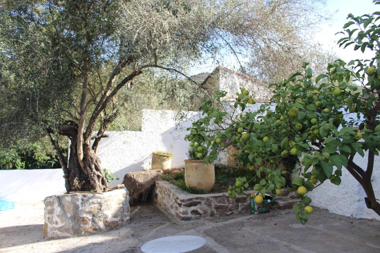 Cortijo El Puente Guest House Vinuela Exterior photo